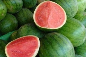 吃瓜咋回复,吃瓜群众如何巧妙回应网络热议